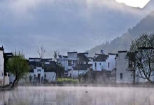 茶香四溢，深圳各区工作室带你走进悠闲生活